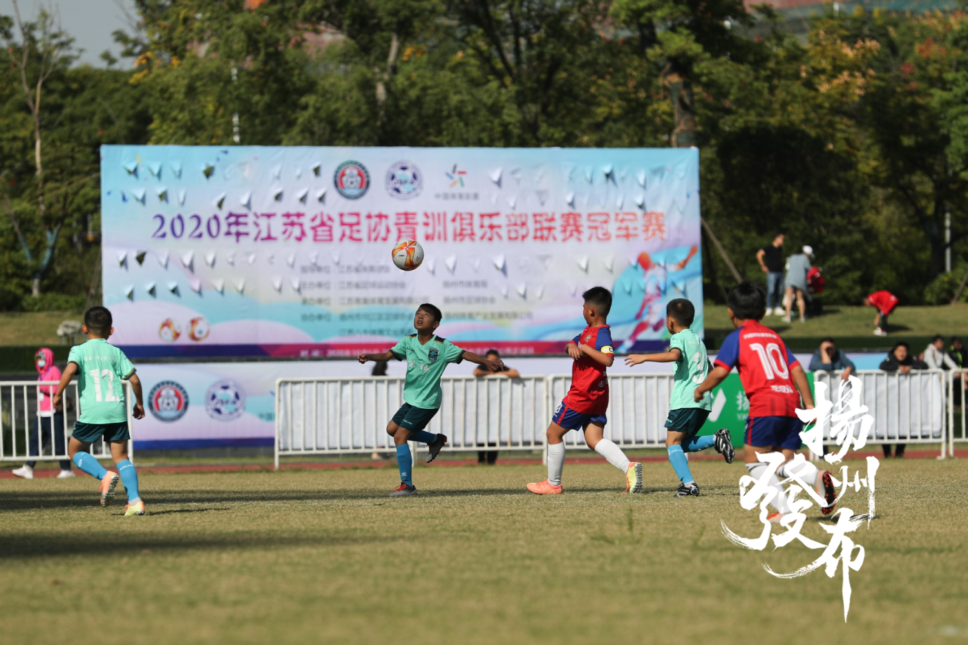 07月21日新西兰联 泰莱之鹰vs惠灵顿圣徒【直播】